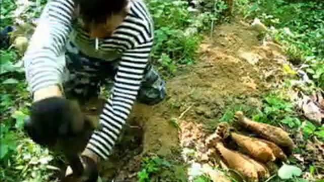 (калужская обл.) смотреть онлайн