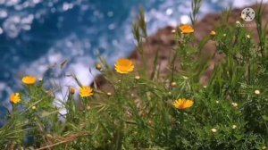 Инна Судакова, Евгений КРИВЕНКО. ЗАГАДИЛ или ПРАВДУ сказал? | Правдивая Ольга ЗВЕЗДАНУТЫЕ БЛОГЕРЫ.