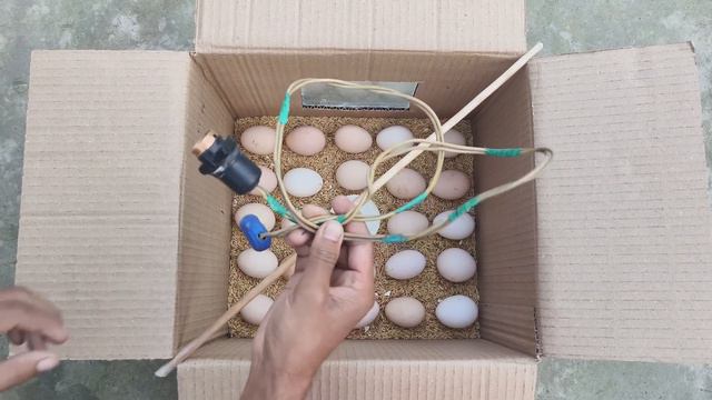 How to make a home incubator at home from a paper box смотреть онлайн