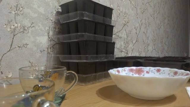 ПОСЕВ СЕМЯН КАПУСТЫ - КОЛОБОК - ИЮНЬСКАЯ - СЛАВА смотреть онлайн