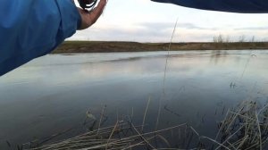 TsuYoki AGENT 36F на голавля, щуку, жереха, язя, окуня.