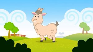 El Pollito Pío ♫ Canciones Infantiles ♫ Plim Plim