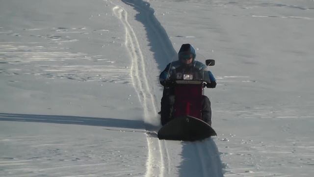 зимняя прогулка смотреть онлайн