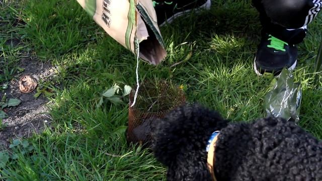 Коптилка своими руками смотреть онлайн