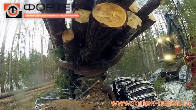 TimberPro валочный комплекс в Иркутской области смотреть онлайн