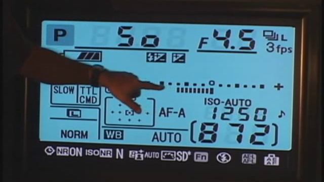 Nikon D90 Shooting Info