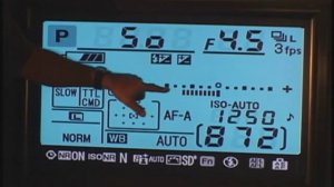 Nikon D90 Shooting Info