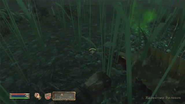 The Elder Scrolls IV: Oblivion►Опасный Путь на Нью-Шеот! 2# смотреть онлайн