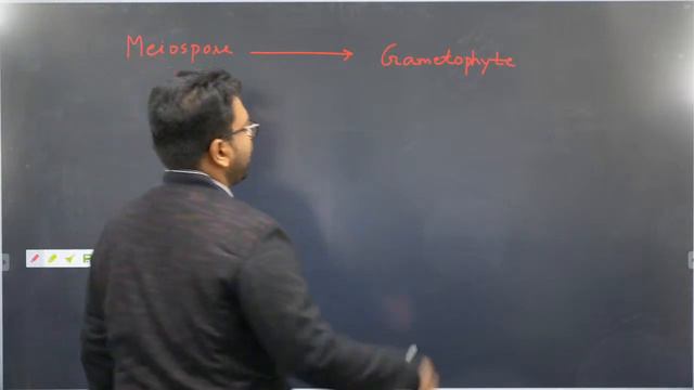 Plant Kingdom Class 11 L6 | Pteridophytes | NEET 2022 Preparation | NEET Biology | Dr.Saurav Sir