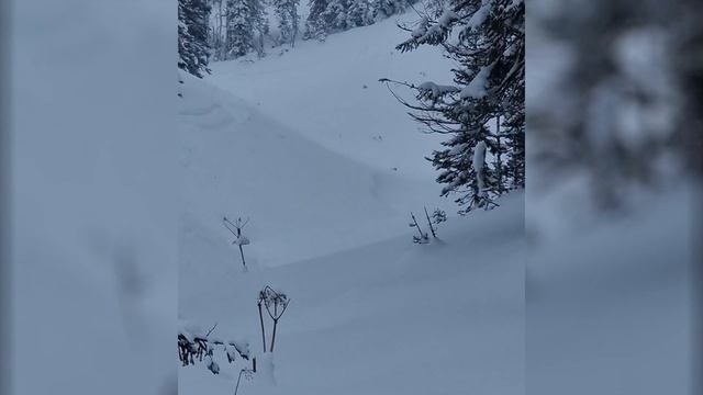 Сезон 2022 Приисковый онлайн_day1 смотреть онлайн