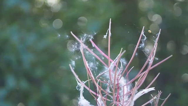 шум ветра смотреть онлайн