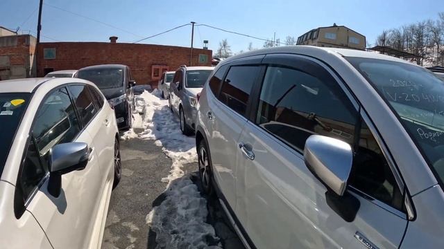 ЗЕЛЕНЫЙ УГОЛ БИТКОМ✅ СУЕТА НА АВТОРЫНКЕ? АКТУАЛЬНЫЕ ЦЕНЫ СЕГОДНЯ. 17.02