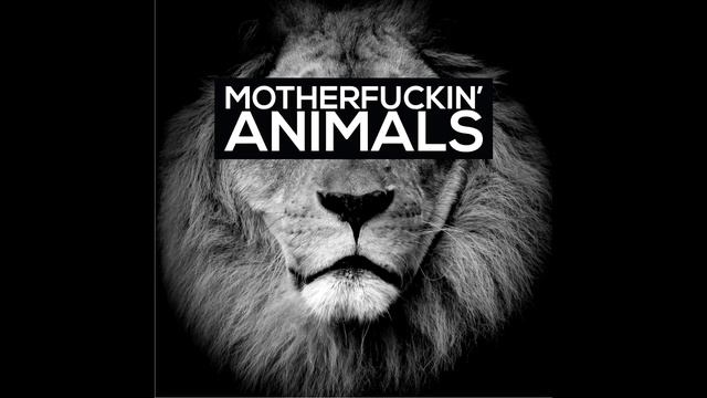 Martin Garrix Animals 1hour version смотреть онлайн