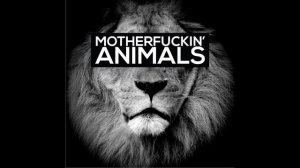 Martin Garrix Animals 1hour version