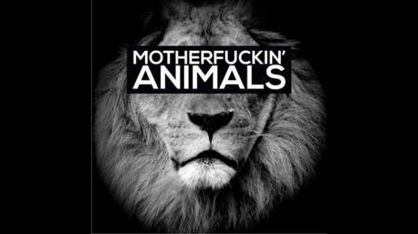 Martin Garrix Animals 1hour version