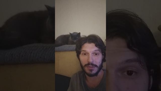 История о кошке и ее Человеке. смотреть онлайн