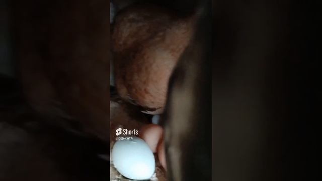 ИСКУССТВО ТРЕБУЕТ ЖЕРТВ! смотреть онлайн