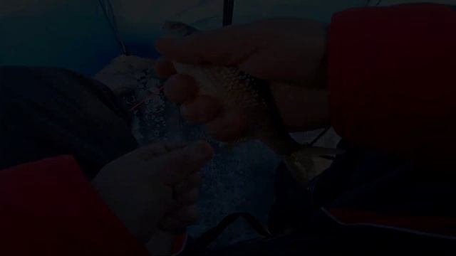 Клёвая зимняя рыбалка на плотву. Шершни. смотреть онлайн