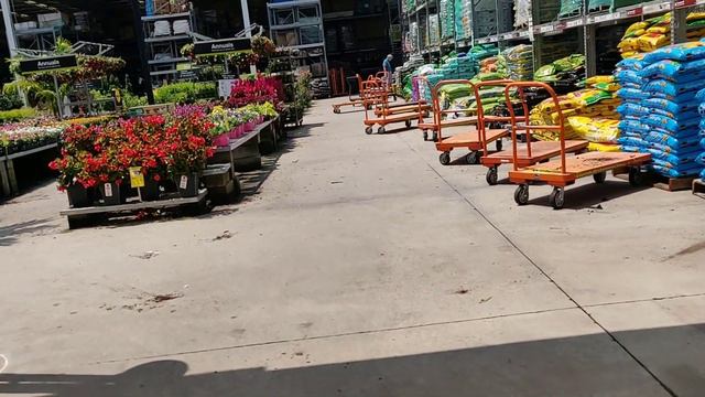Shopping for Clearance Plants🍃 Vlog pt.1 || Kreatyve Laydiiee смотреть онлайн