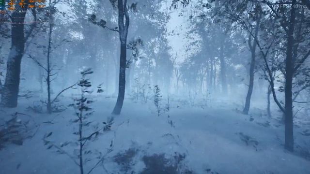 Unreal Engine 5.1 MAWI Broadleaf Forest | Техно-демо смотреть онлайн