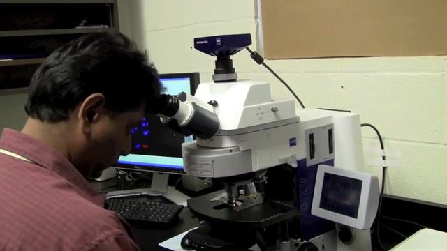 Behind the scenes: sequencing genome of ancient flowering plant смотреть онлайн