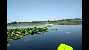 Вожу друзей в сплав по Запорожским плавням (июнь 2018)