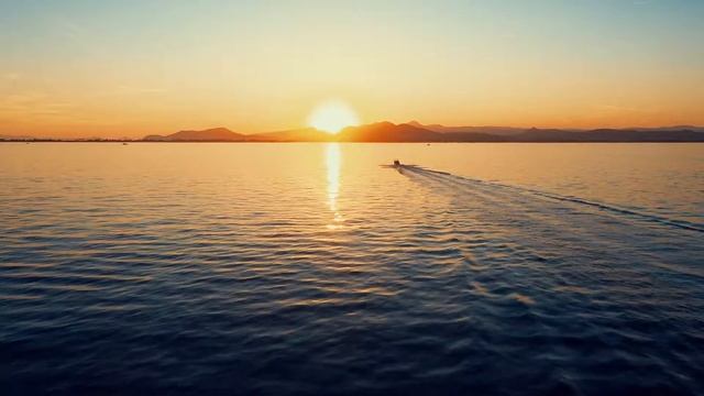 Sea Ray Sun Sport 230 - model year 2020 смотреть онлайн