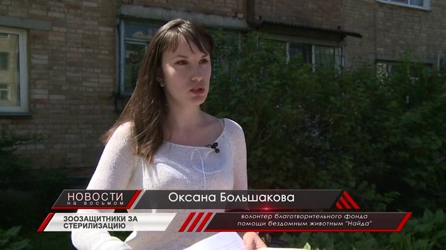 На улице Надибаидзе собака покусала ребенка смотреть онлайн