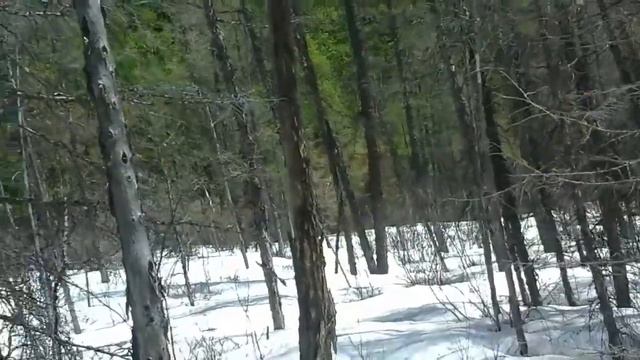 Зима ,среди лета ,Может к июлю и растает ! Но это не единственный сюрприз .Нашел такой бугор !!! смотреть онлайн