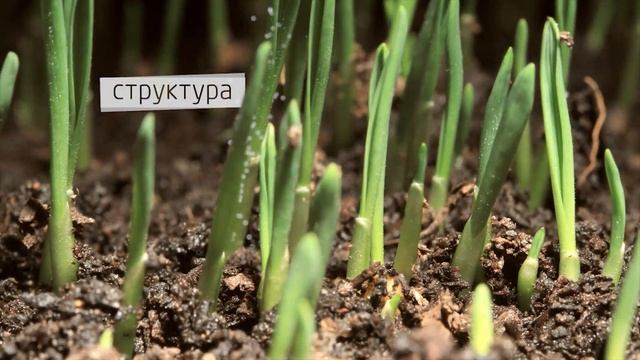 Cредства по уходу за волосами Weleda