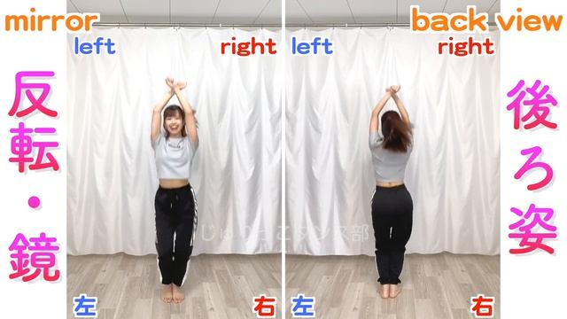 【反転スロー（サビ）】TWICE - Celebrate | Dance Tutorial | Mirrored + Slow music смотреть онлайн