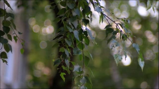 Поэтам нового века посвящается. Екатерина Картавцева (стихи), Елена Плотникова (музыка, исполнение) смотреть онлайн