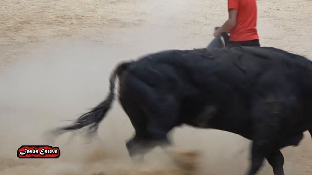 BENIFAIRO 01-09-2022 TOROS DE VICTORIANO DEL RIO Y EL PARRALEJO смотреть онлайн