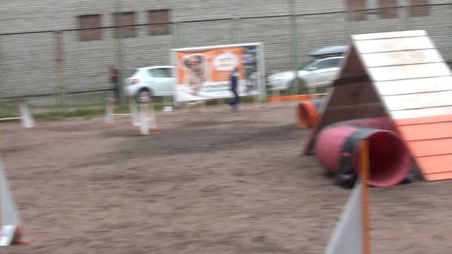 Кубок Аджилити Small - Володина Надежда и Ляля смотреть онлайн