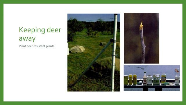 Growing Season - Gardening FAQ смотреть онлайн