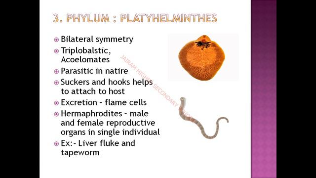 IX STD SCIENCE BIOLOGY UNIT 17 (Part 2) смотреть онлайн