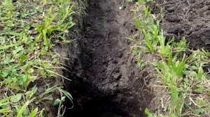 Дренаж участка своими руками.