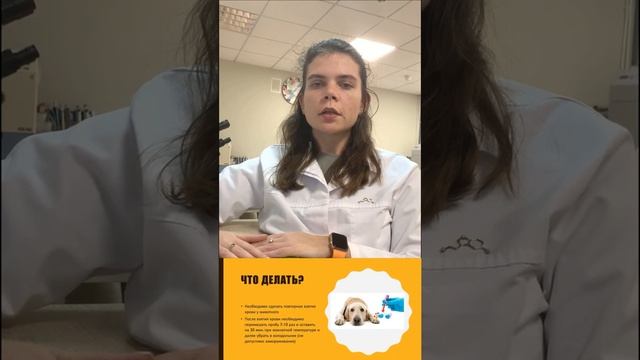 Образование тромбов в пробирке для ОКА смотреть онлайн