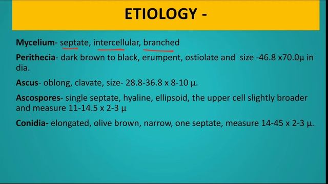 Diseases of Strawberry | Leaf Spot | Plant Disease Lecture Series смотреть онлайн