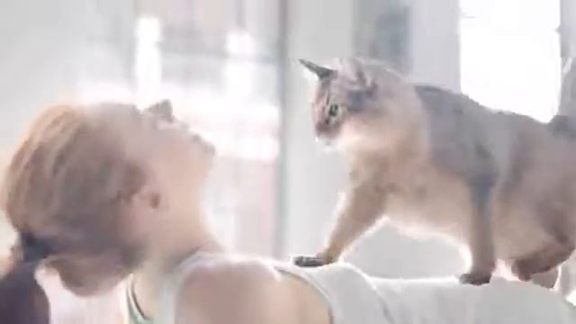 Котойога - бодрость духа смотреть онлайн