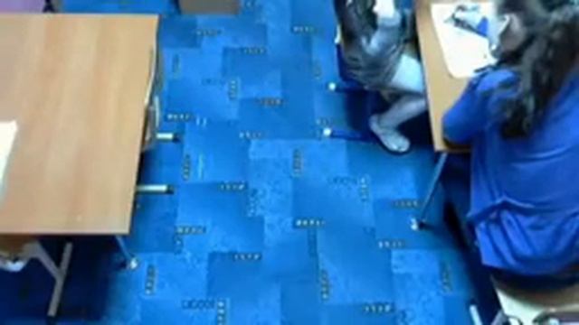 частный развивающий детский сад "Умный Малыш" Волгоград Дзержинский район 7 Ветров 8-961-685-45-47 смотреть онлайн