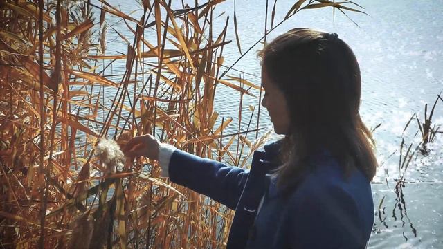 Колыбельная тишины смотреть онлайн