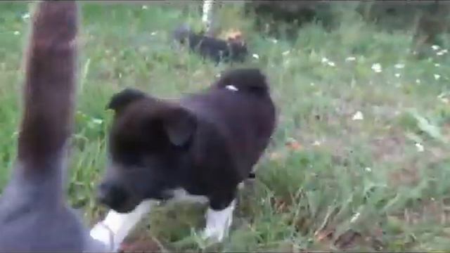 Первые прогулки 1,5 месяца смотреть онлайн