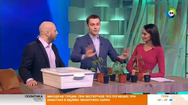 Как устроить огород на собственном подоконнике . Эфир от 07.04.17 смотреть онлайн