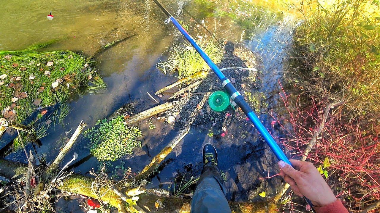 В РУЧЬЕ ПО КОЛЕНО НА САМУЮ ВКУСНУЮ РЫБУ! МЕДВЕДИ РЯДОМ! Осенняя рыбалка на хариуса смотреть онлайн