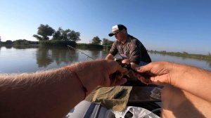 Ловля Сома на Квок !!! Днестр 23.08.2020 г.