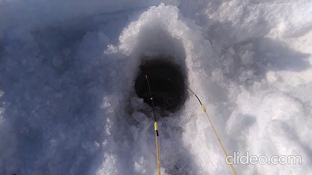 Городской пруд. Екатеринбург. Двенадцатая серия. смотреть онлайн