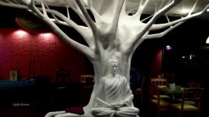 Карунеш / Karunesh ~ Nirvana Café  / Красивая расслабляющая, успокаивающая музыка