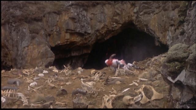 Monty Python And The Holy Grail - Killer Bunny Rabbit смотреть онлайн