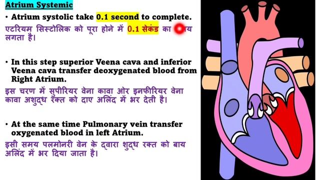 Cardiac Cycle in hindi | Cardiac Cycle of Heart | SA Node | AV Node | ह्रदय चक्र | Blood Circulatio смотреть онлайн